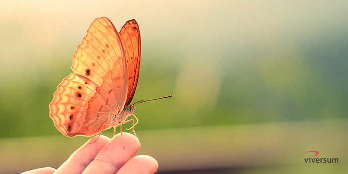 Krafttier Schmetterling
