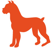 Tierkreiszeichen Hund