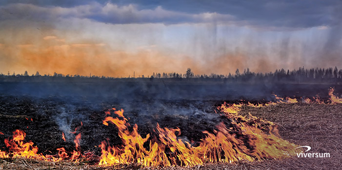 Traumdeutung Feuer